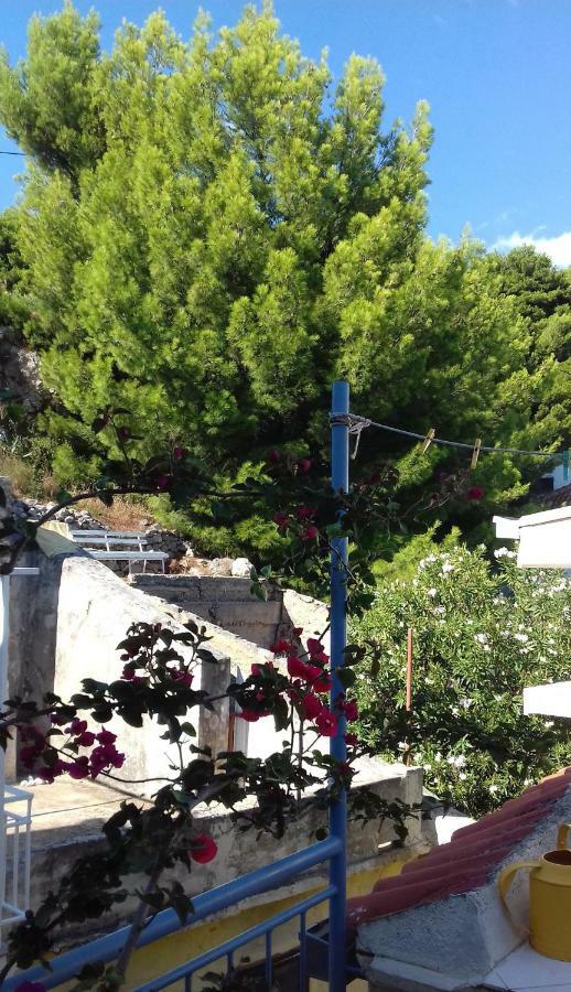 Studio With Magic View Podgora Extérieur photo
